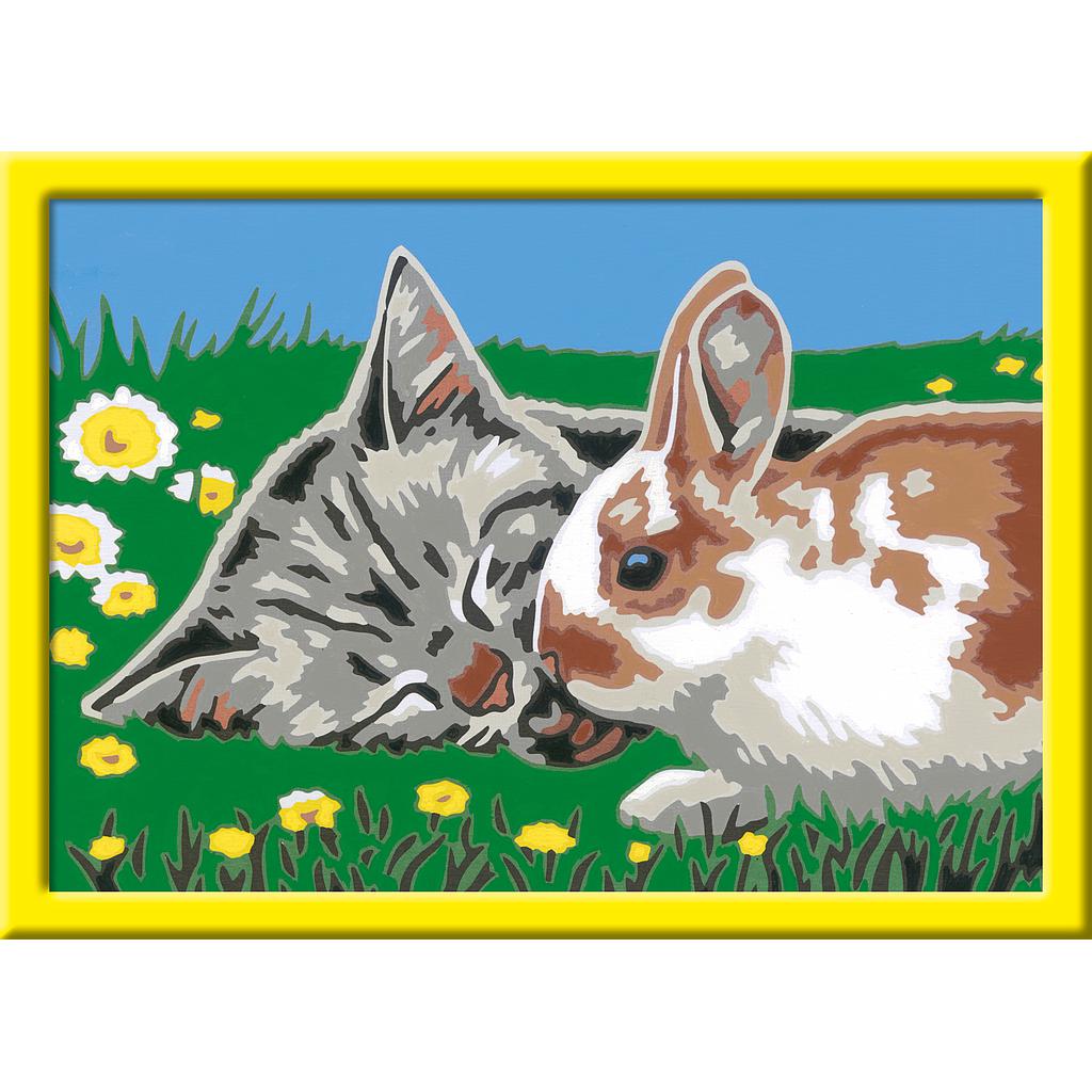 maalimine_keskmine_278404V_1