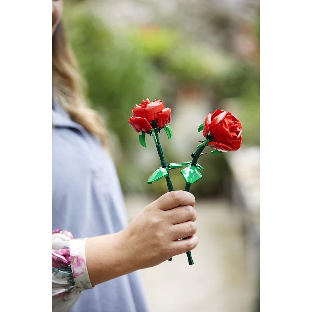 lego_iconic_roosid_40460L_4