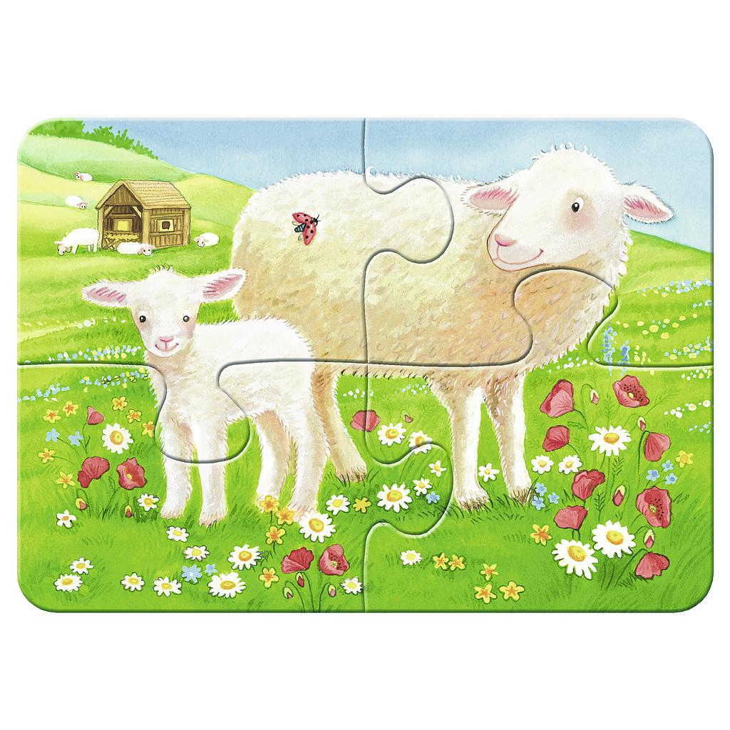ravensburger_minu_esimene_pusle_2-4-6-8_tk_070770V_2