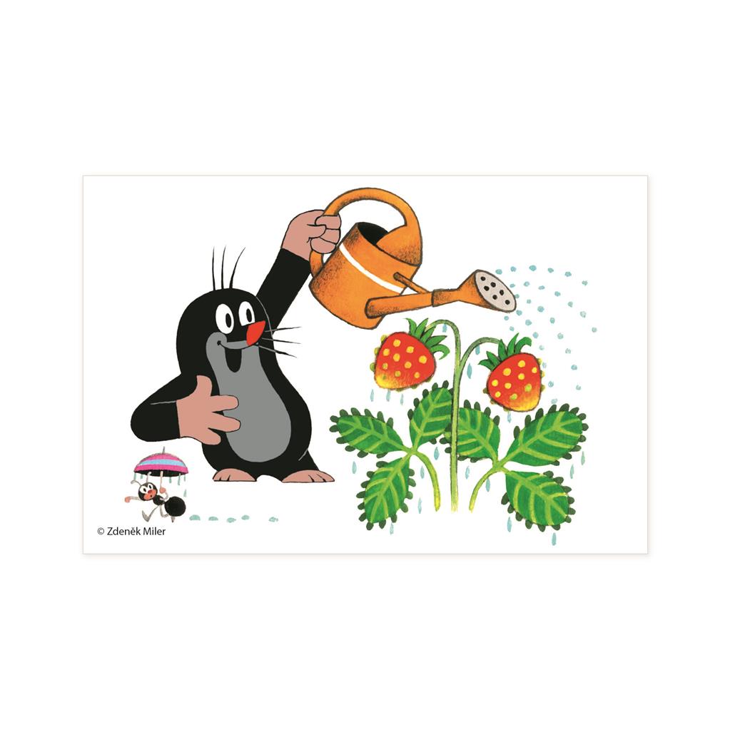 dino_klotsipusle_puidust_6_tk_väike_mutt_64314D_5