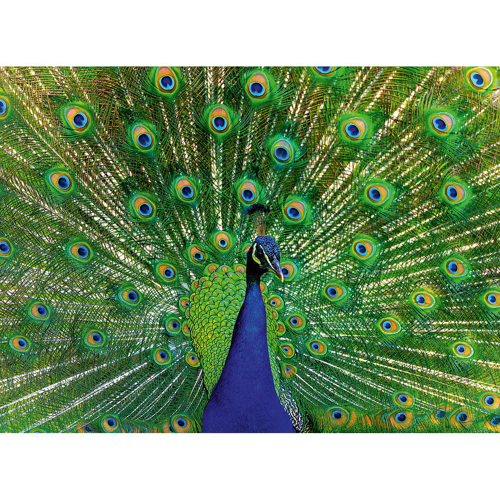 ravensburger_pusle_500_tk_paabulind_12001332V_1