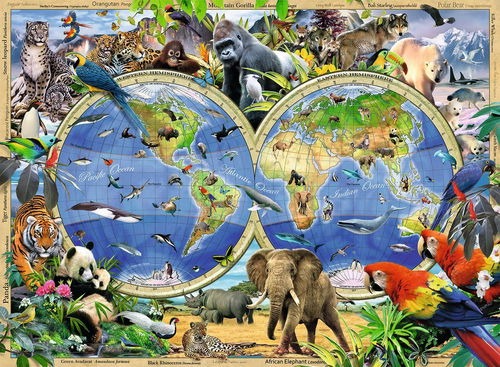 ravensburger_pusle_300_tk_maailma_atlas_loomadega_131730V_1