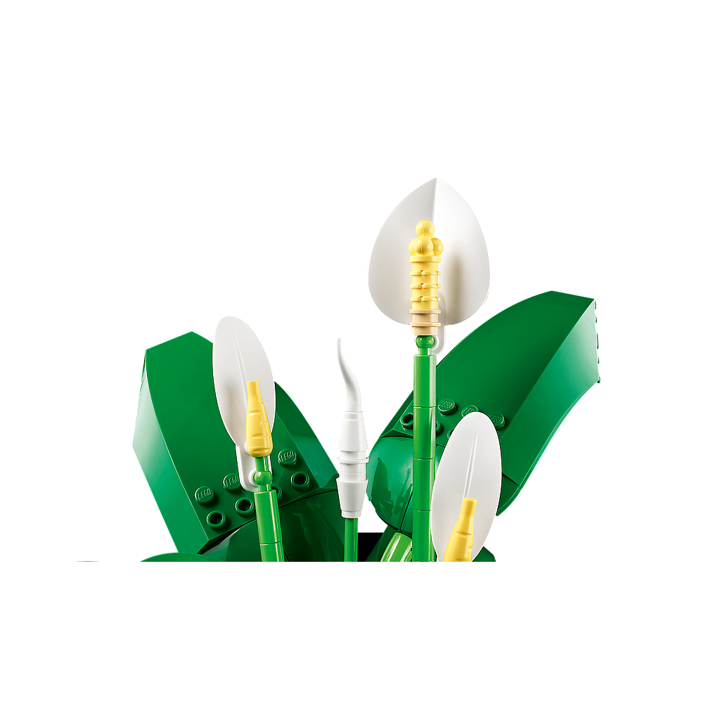 lego_botanicals_tõlvlehik_11504L_3