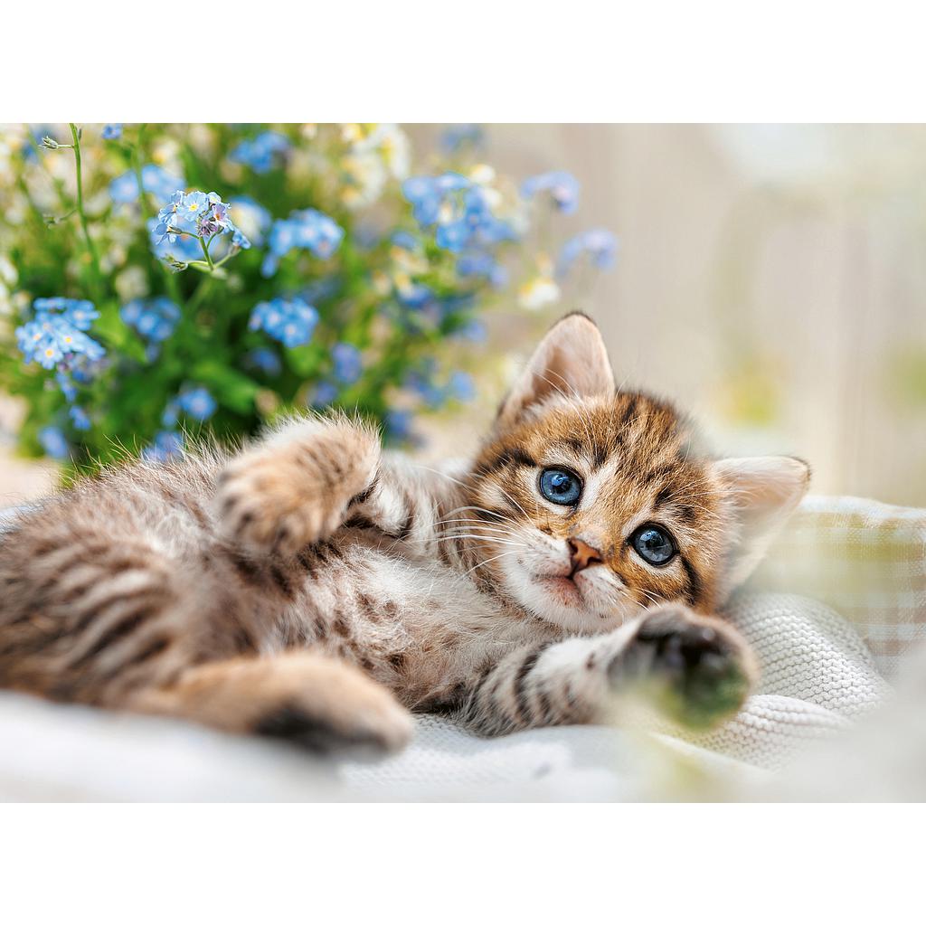 ravensburger_pusle_500_tk:_mänguline_kassipoeg_12001904V_1