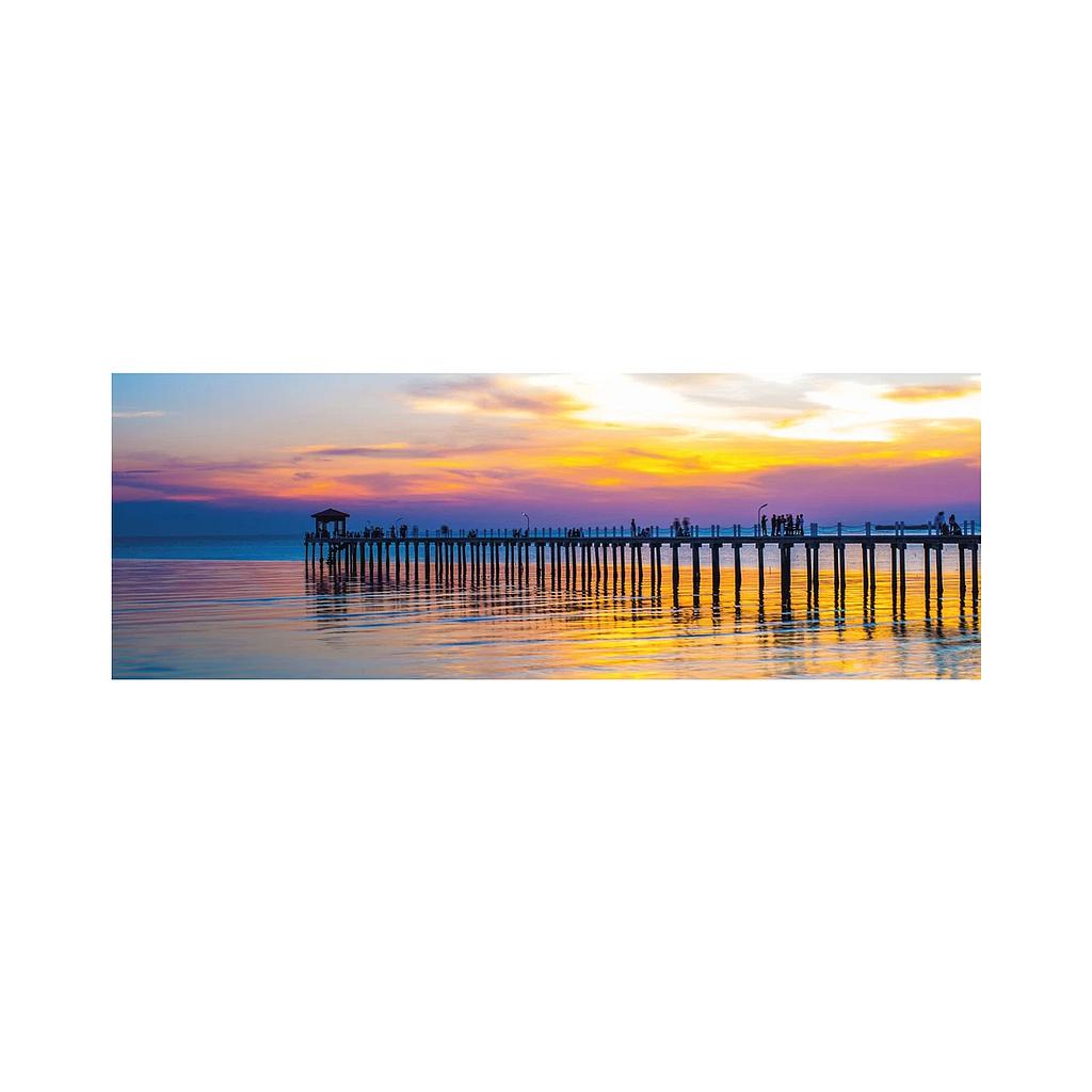 dino_panoraampusle_2000_tk:_tai_laht_56212D_1