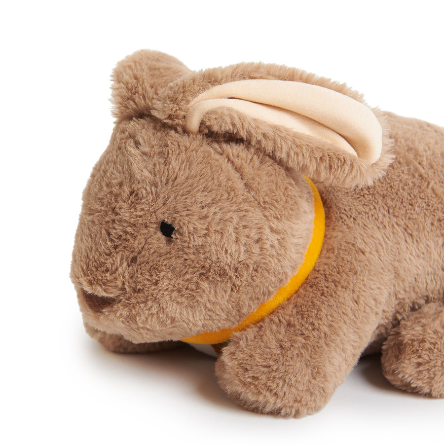 tts_raskusloom_sületekiga_-_jänes_1,36kg_SD10346B_1