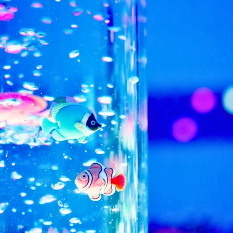 tts_mullitoru_120cm_SD10422B_2