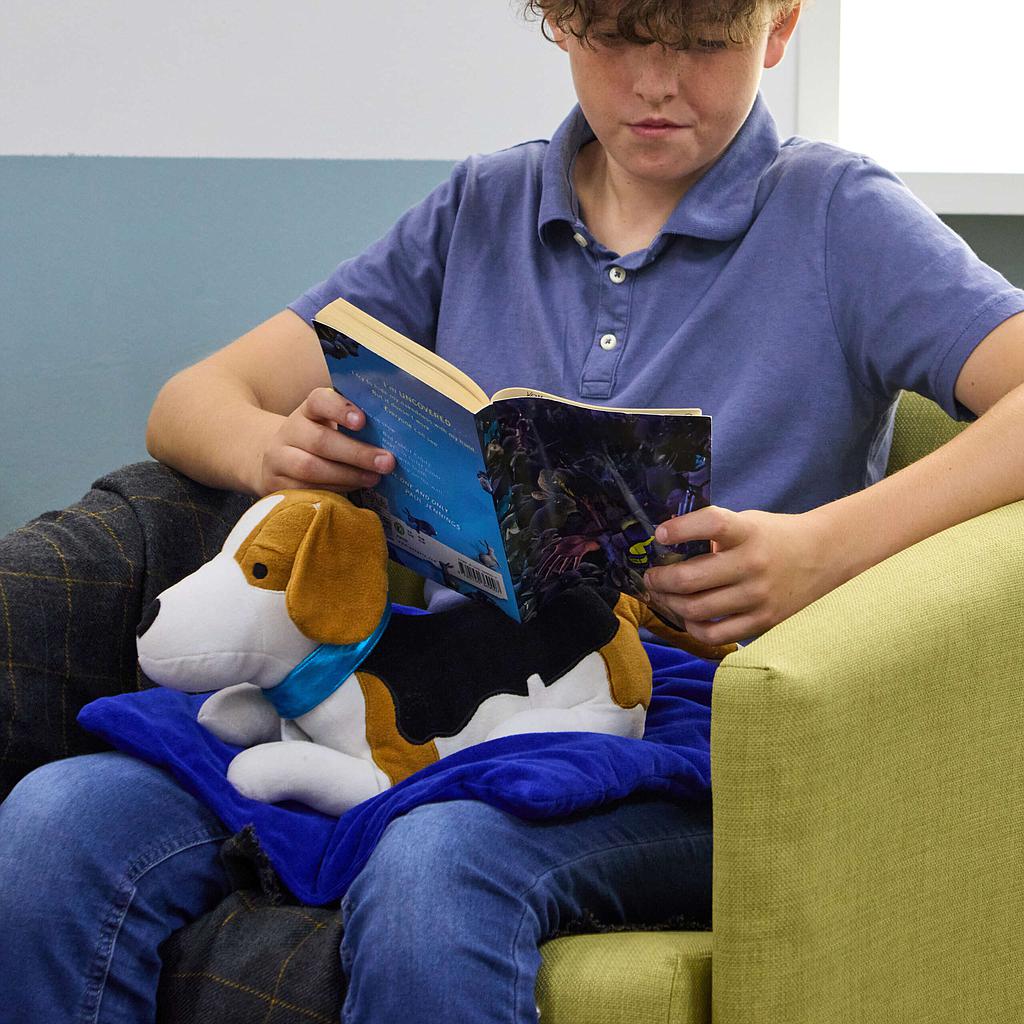 tts_raskusloom_sületekiga_-_beagle_koer_1,36kg_SD12677B_1