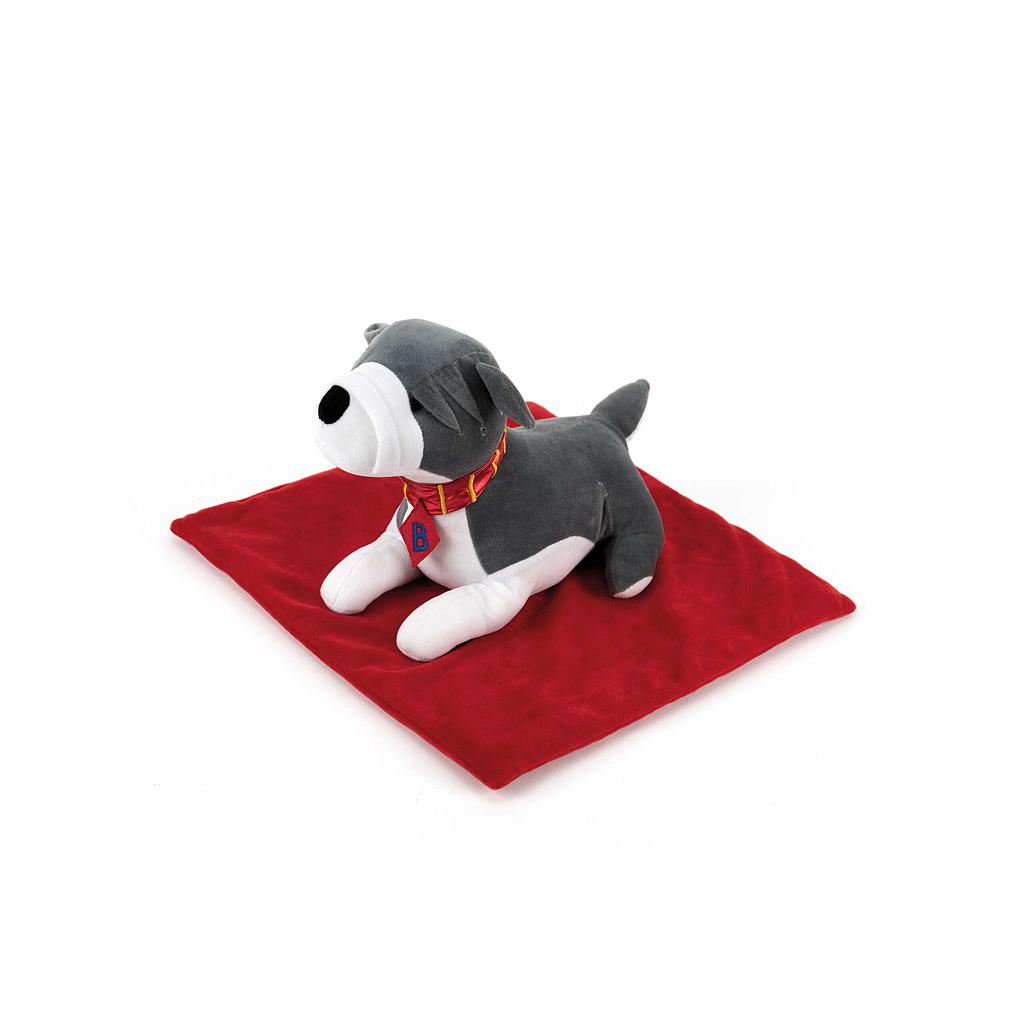 tts_raskusloom_sületekiga_-_šnautser_koer_1,36kg_SD12678B_4