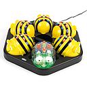 TTS Bee-Bot and Blue-Bot Programmable Robot Classroom Pack