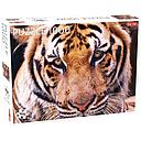 Tactic Puzzle 1000 pc Tiger Portrait