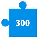 300 Piece Puzzles