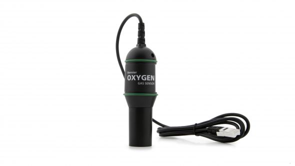 Vernier Gaseous Oxygen Sensor