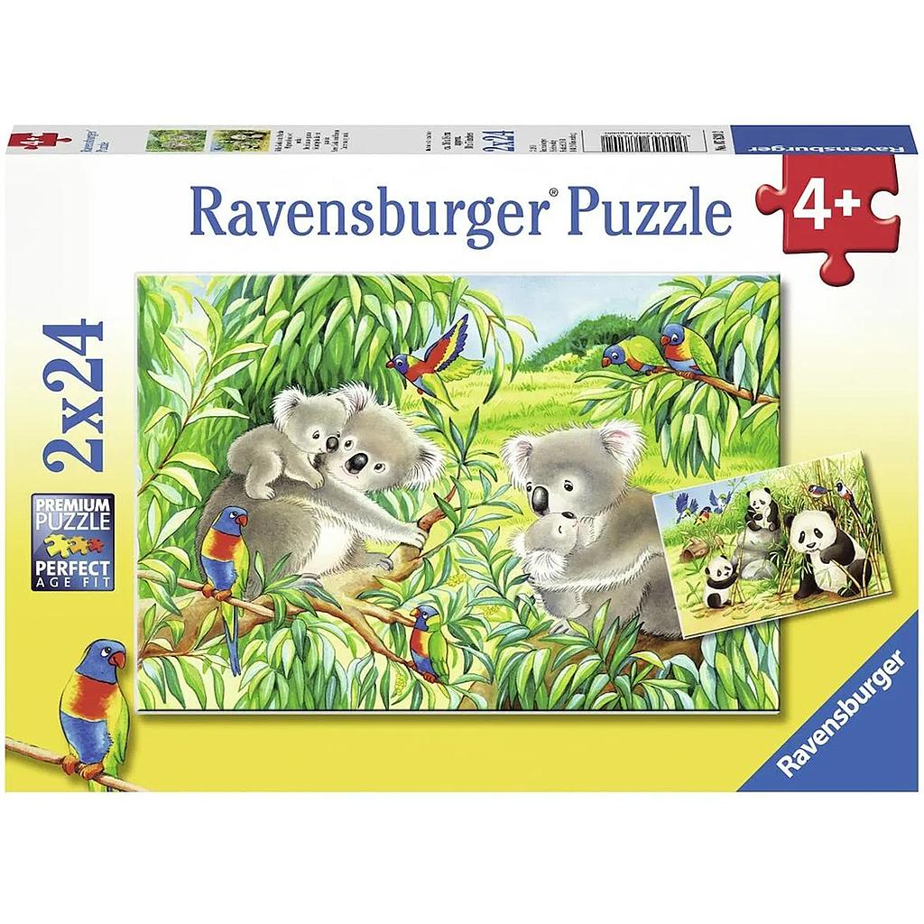 Ravensburger Puzzle 2x24 pc Sweet Koalas and Pandas 