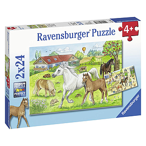 Ravensburger pusle 2x24 tk Ratsatall
