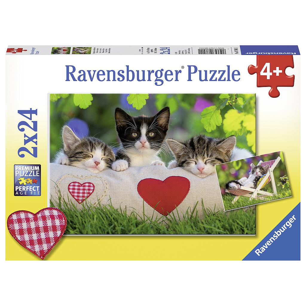 Ravensburger Puzzle 2x24 pc Cats 