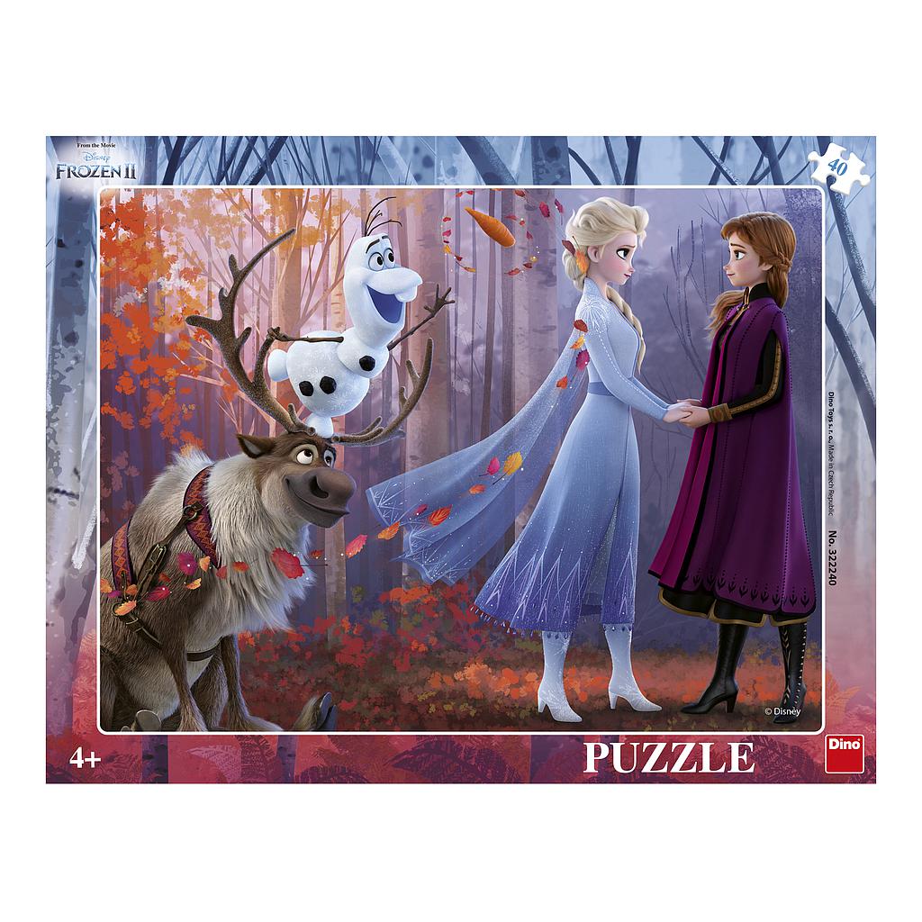 Dino Frame Puzzle 40 pc, Frozen