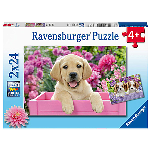 Ravensburger Puzzle 2x24 pc Furry Friends