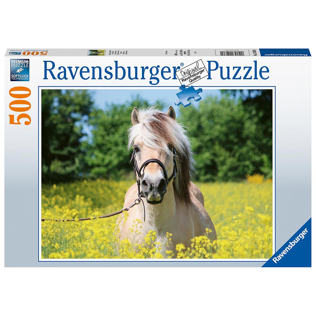 Ravensburger Puzzle 500 pc White Horse