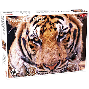 Tactic Puzzle 1000 pc Tiger Portrait