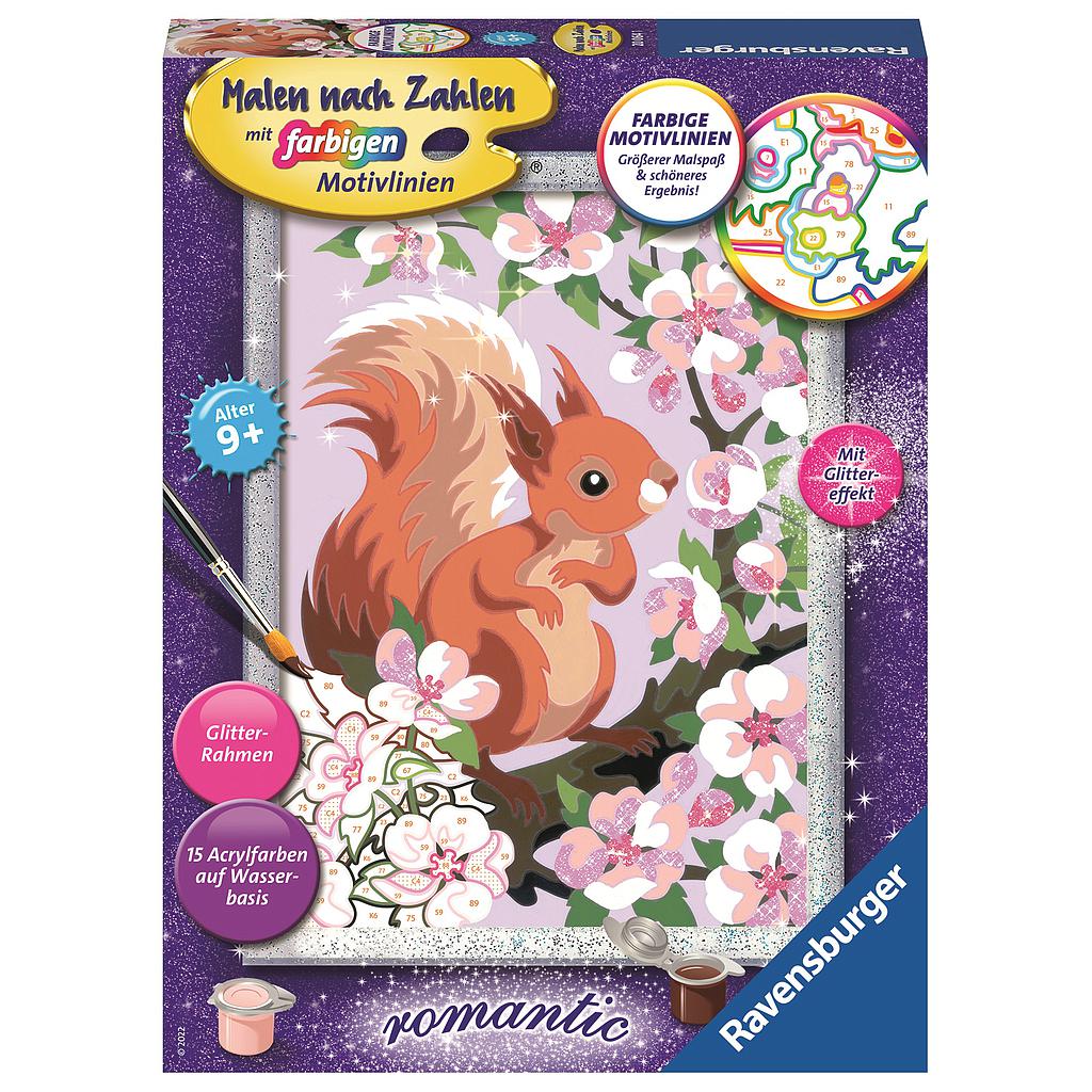 Ravensburger Painting by Numbers Squirrel