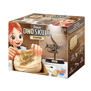 Buki Museum Skull Triceratops