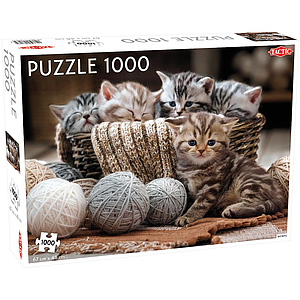 Tactic puzzle 1000 pc Cute Kittens