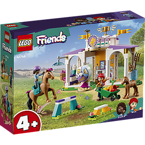 LEGO Friends Horse Training