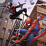 pusle_3x49_spiderman_080250V_1