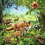 ravensburger_pusle_3*49_tk_maailmaloomad_093304V_1