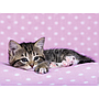pusle_200_tk._uneaeg_128242V_1