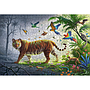 ravensburger_puidust_pusle_500_tk_tiiger_džunglis_175147V_1