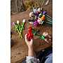 lego_iconic_roosid_40460L_2