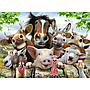 ravensburger__pusle_300_tk_farmiloomade_selfie_132072V_1