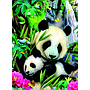 ravensburger_pusle_300_tk_pandakarud_130658V_1