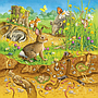 ravensburger_pusle_3x49_tk_loomad_080502V_2