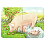 ravensburger_minu_esimene_pusle_2-4-6-8_tk_070770V_1