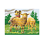 dino_klotsipusle_puidust_12_tk_koduloomad_64141D_5