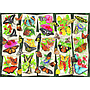 ravensburger_pusle_1000_tk_eksootilised_liblikad_12001084V_1