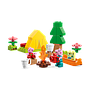 lego_duplo_matkareis_10452L_4