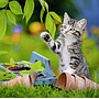 ravensburger_pusle_3x49_tk_kiisud_080465V_3