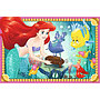ravensburger_klotsipusle_6_tk_disney_printsessid_074280V_5