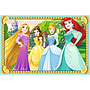 ravensburger_klotsipusle_6_tk_disney_printsessid_074280V_7