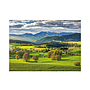 dino_pusle_3000_tk:_kevad_56327D_1