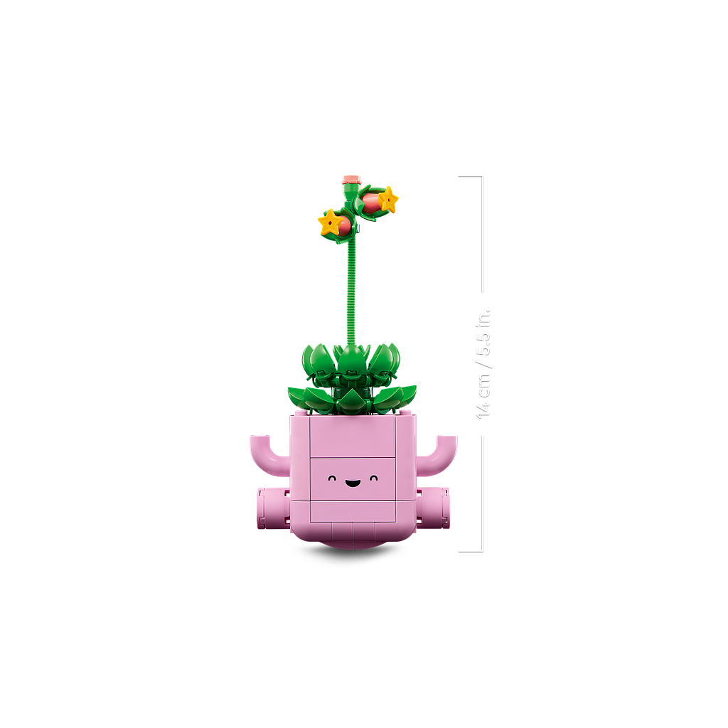 pimg.name