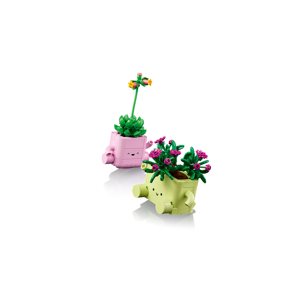 pimg.name