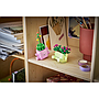 lego_botanicals_kiikuvad_taimed_11506L_8