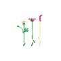 lego_botanicals_kosmoseõied_11514L_1