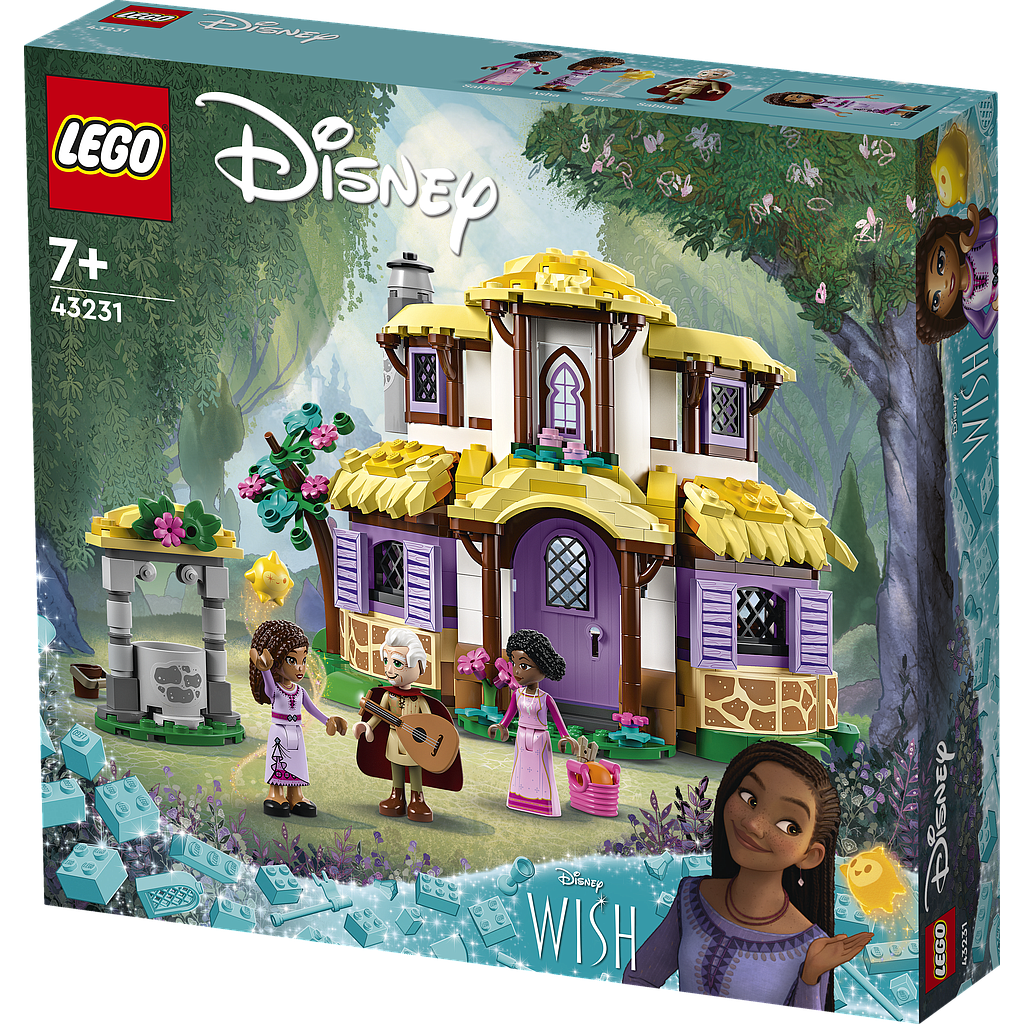 LEGO Disney Asha's Cottage