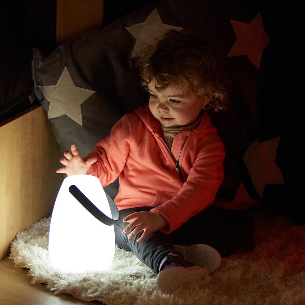 TTS Light Up Lanterns 2pk